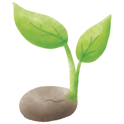 Keabuilder Sprouts plan